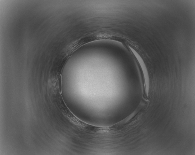 X0000050720521200506151917