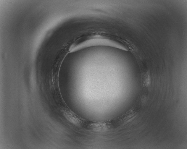 X0000050720524200506151917