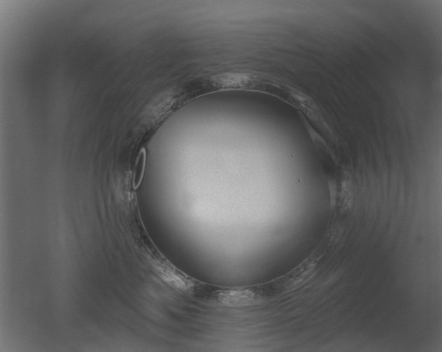 X0000050720525200506151917