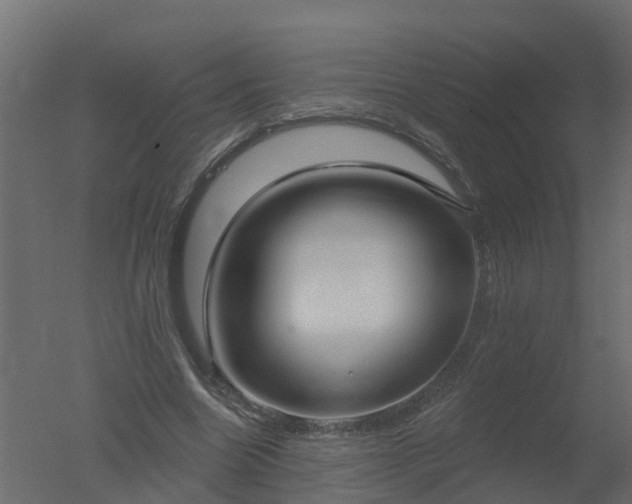 X0000050720538200506151916