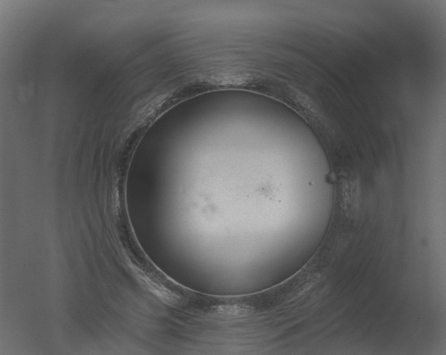 X0000050720541200506151916