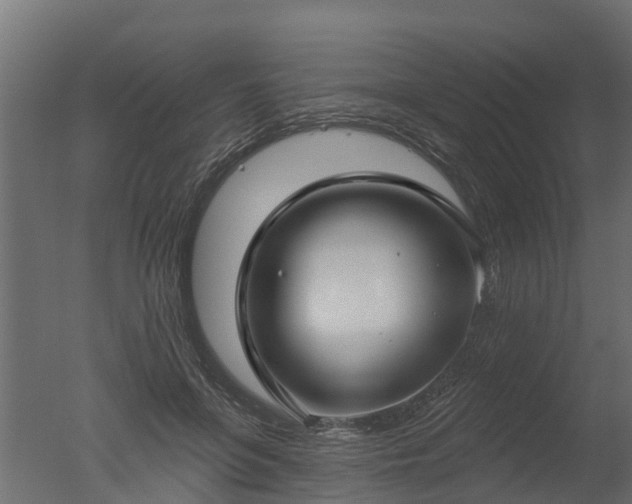 X0000050720551200506151916