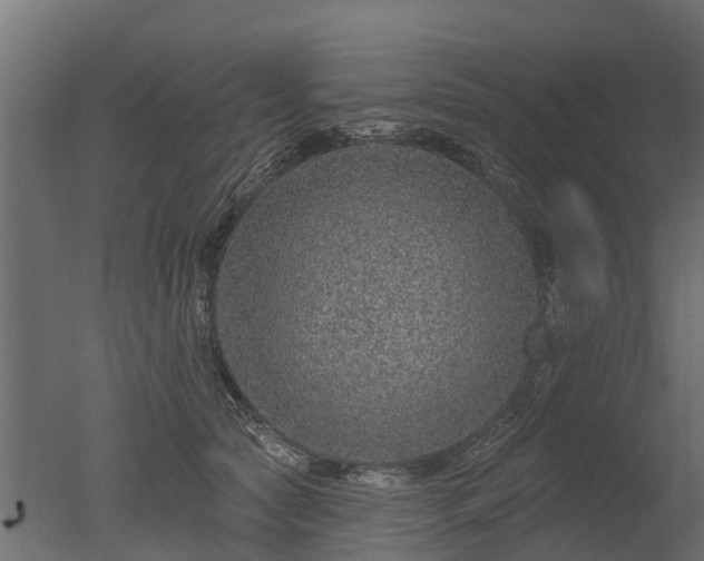 X0000050720561200506151917