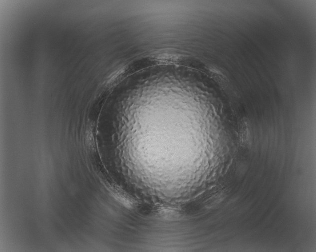 X0000050720573200506151917