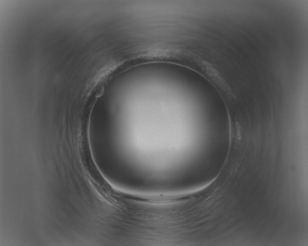 X0000050720588200506151916