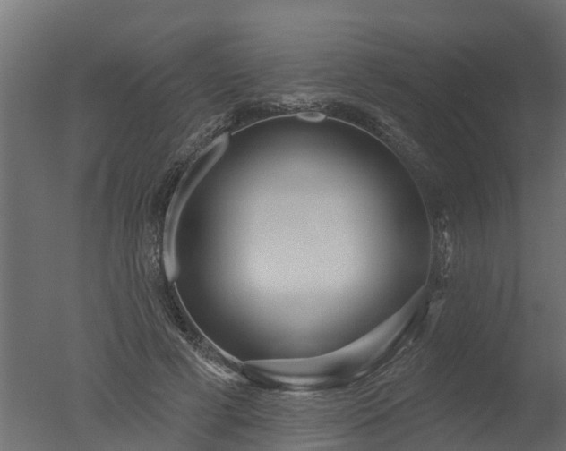 X0000050720593200506151916