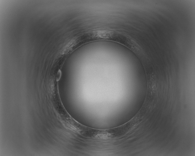 X0000050720595200506151916