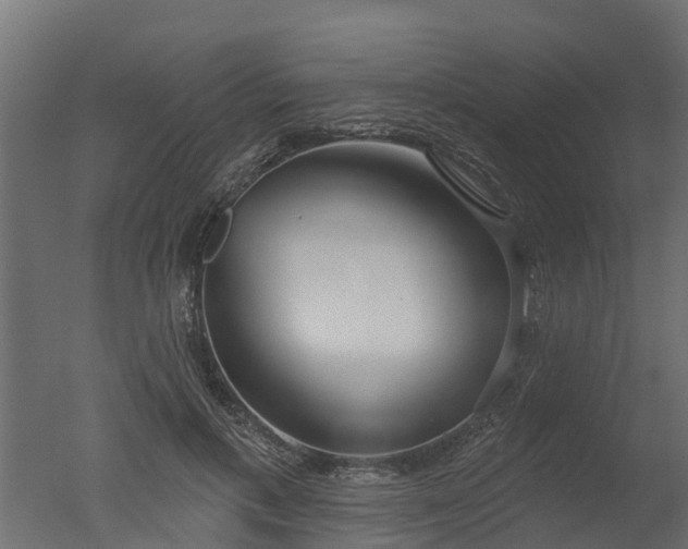 X0000050720597200506151916
