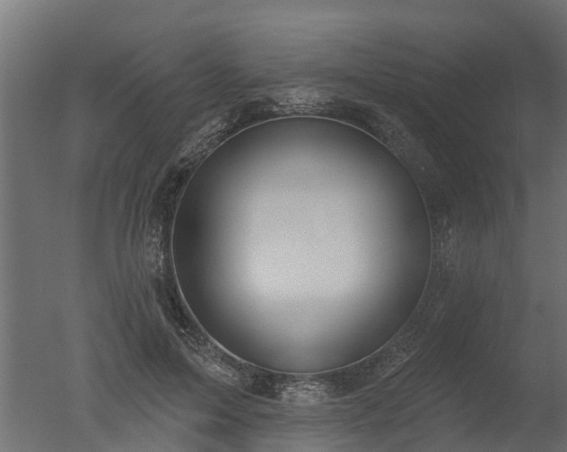 X0000050720599200506151916