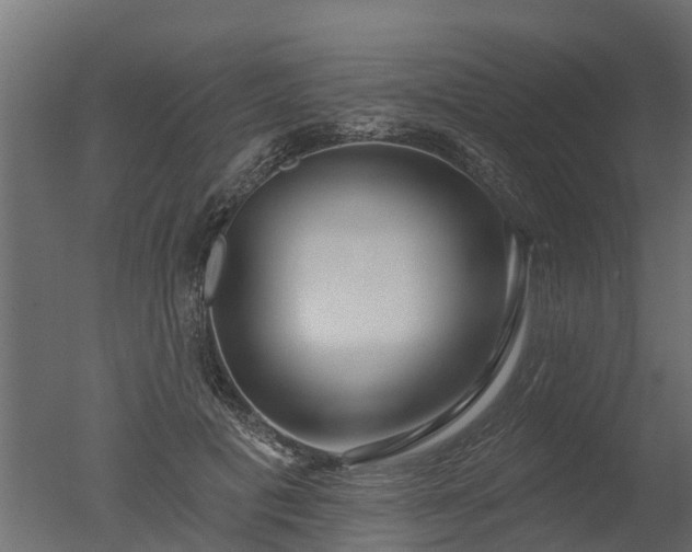 X0000050720601200506151916
