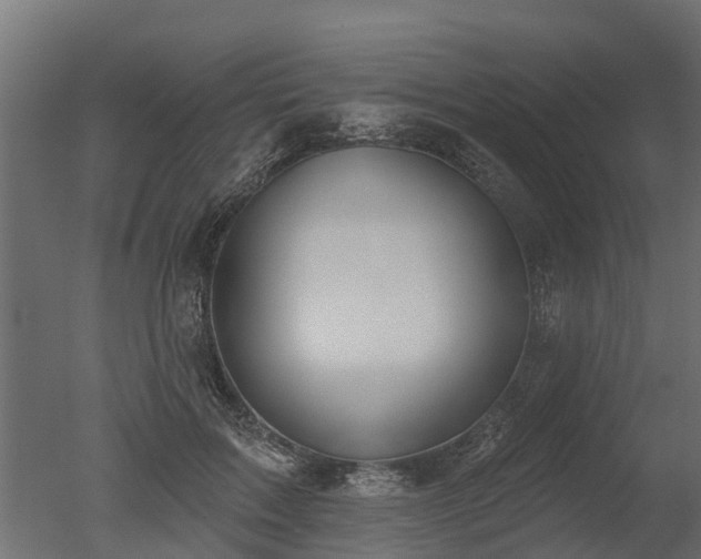 X0000050720603200506151916