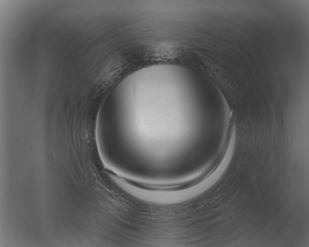 X0000050720608200506151915