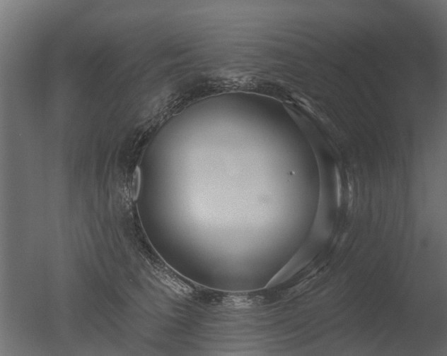 X0000050720613200506151915