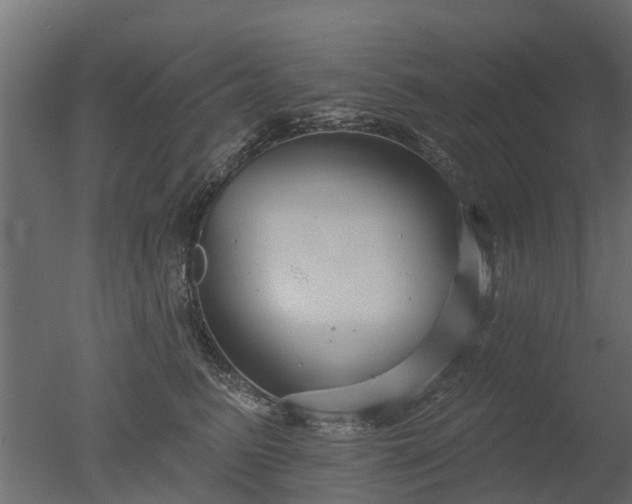 X0000050720615200506151915
