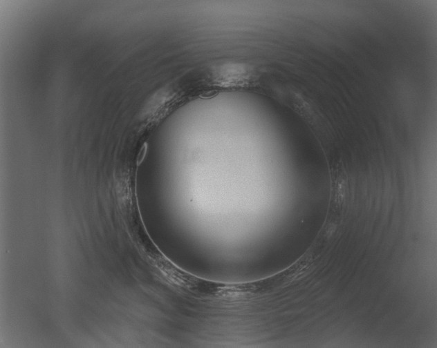 X0000050720620200506151915