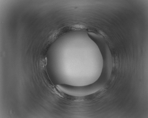 X0000050720621200506151915