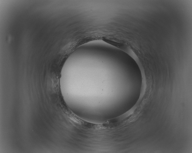 X0000050720624200506151915