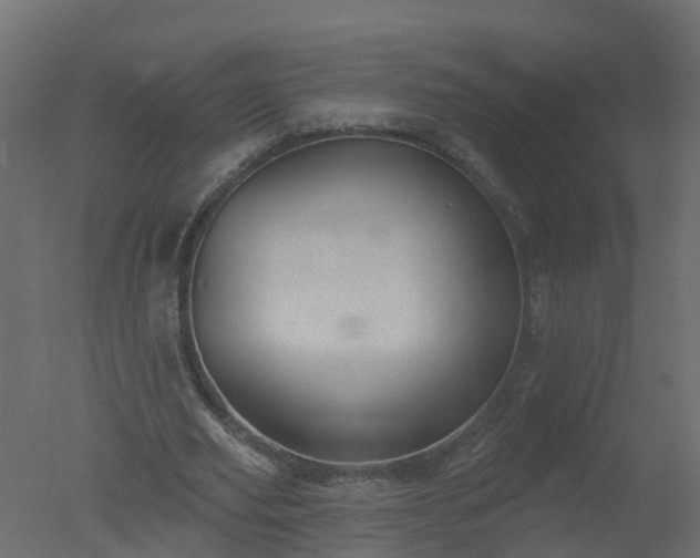 X0000050720629200506151914