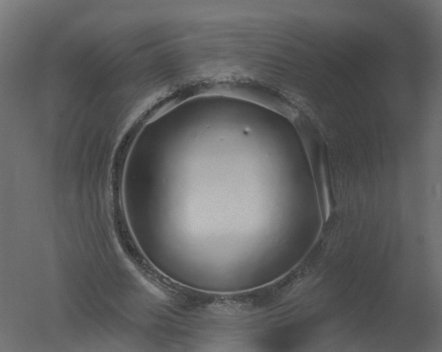 X0000050720630200506151914