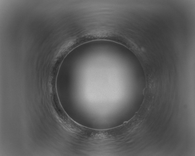 X0000050720635200506151915