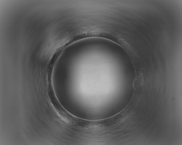 X0000050720638200506151915
