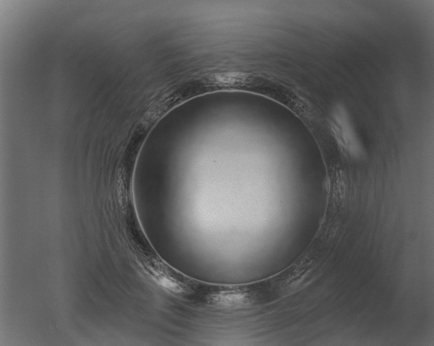 X0000050720651200506151915