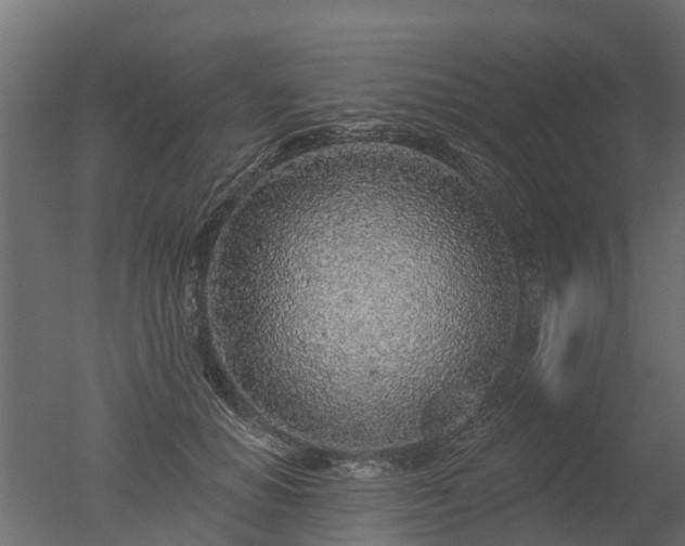 X0000050720654200506151915