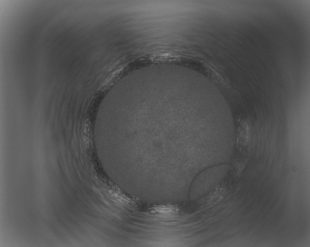 X0000050720659200506151915