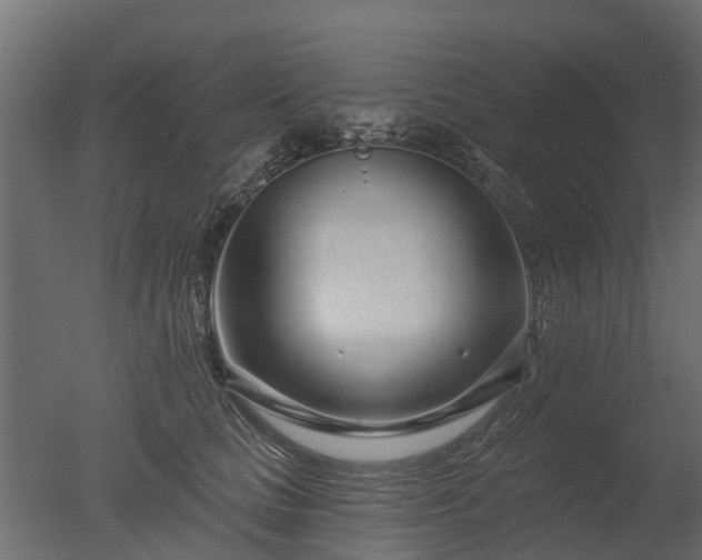 X0000050720661200506151915