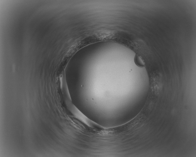 X0000050720664200506151915