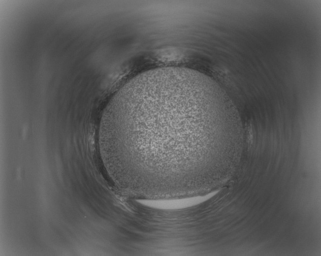 X0000050720668200506151915