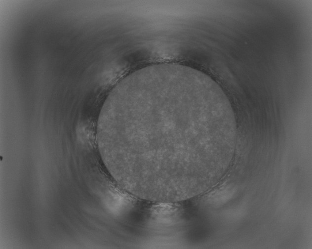 X0000050720672200506151915