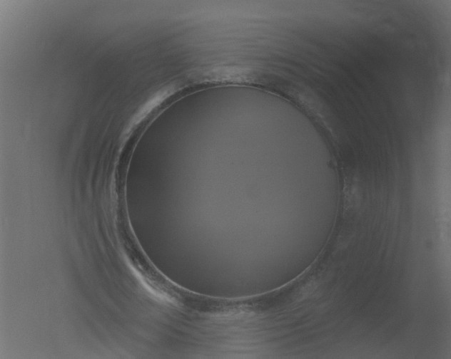 X0000050720674200506151914