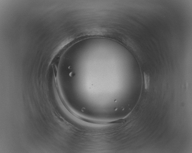X0000050720675200506151914
