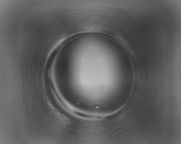 X0000050720676200506151914