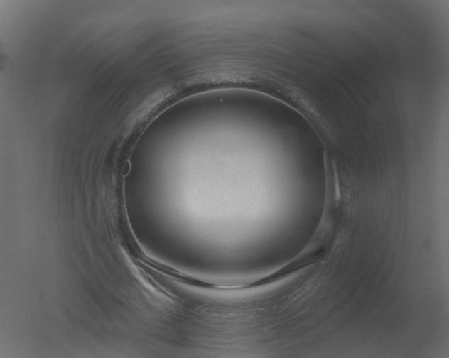 X0000050720677200506151914