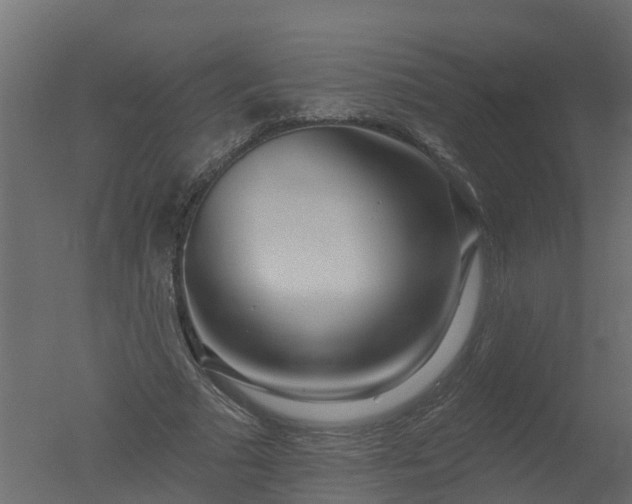 X0000050720681200506151914