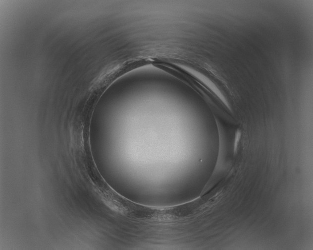 X0000050720685200506151914