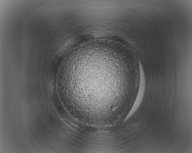 X0000050720691200506151914