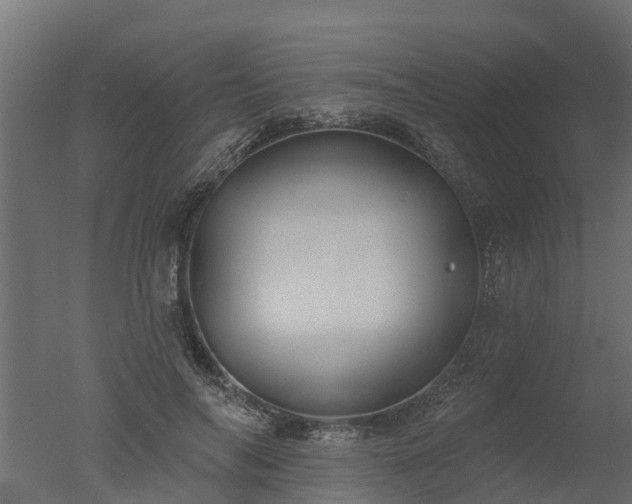 X0000050720694200506151914