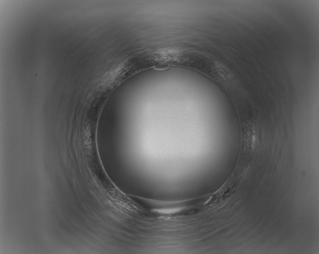 X0000050720700200506151914