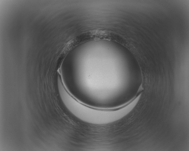 X0000050720708200506151914