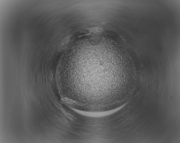 X0000050720711200506151914
