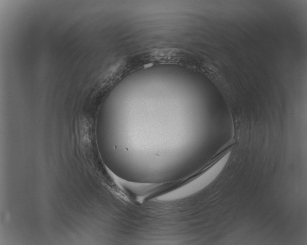 X0000050720712200506151914