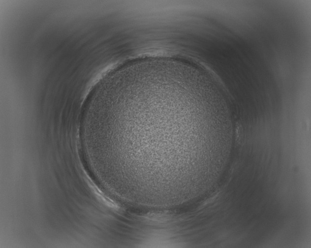 X0000050720725200506151913