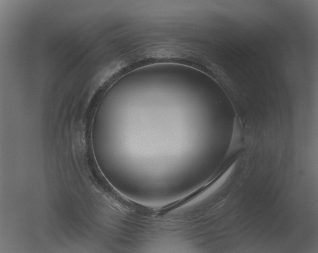 X0000050720727200506151913