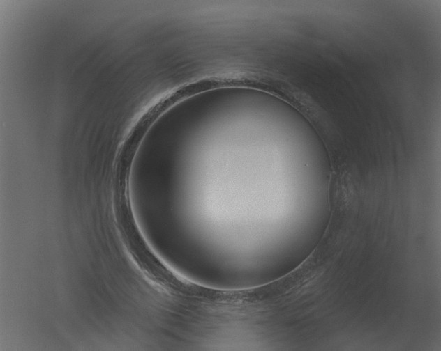 X0000050720728200506151913