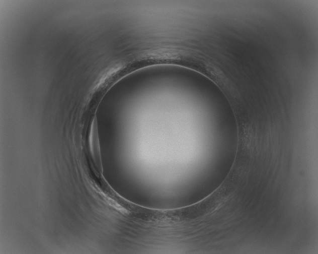 X0000050720731200506151913