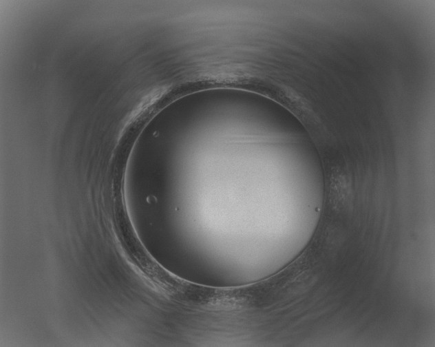 X0000050720734200506151913