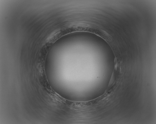 X0000050720774200506151913